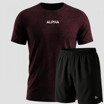 Kit Bermuda Lobo + Camiseta Dry Fitness Academia Alpha — review