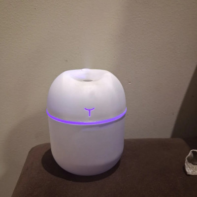 Mini Umidificador e Difusor de Ar Branco 127/220v