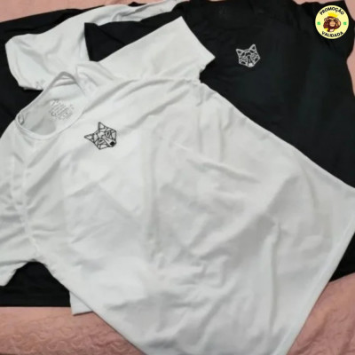 Kit 2 Camisetas Masculina Dry Alpha