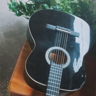 Giannini N-14Bk Violão Acústico Preto