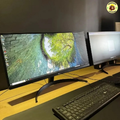 Monitor LG UltraWide IPS 29 polegadas