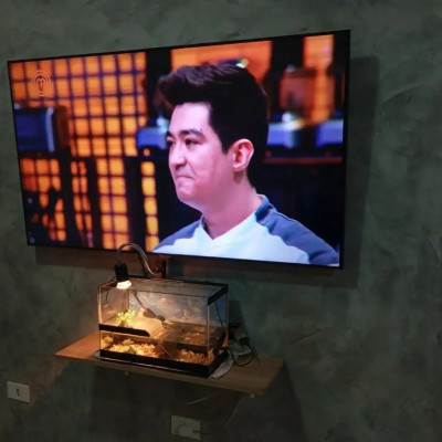 Samsung Smart TV 50 Crystal UHD 4K + Soundbar HW-B400F/ZD