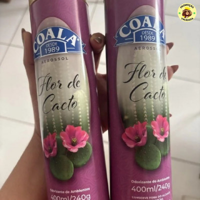 Coala Odorizador de Ambiente 400ml
