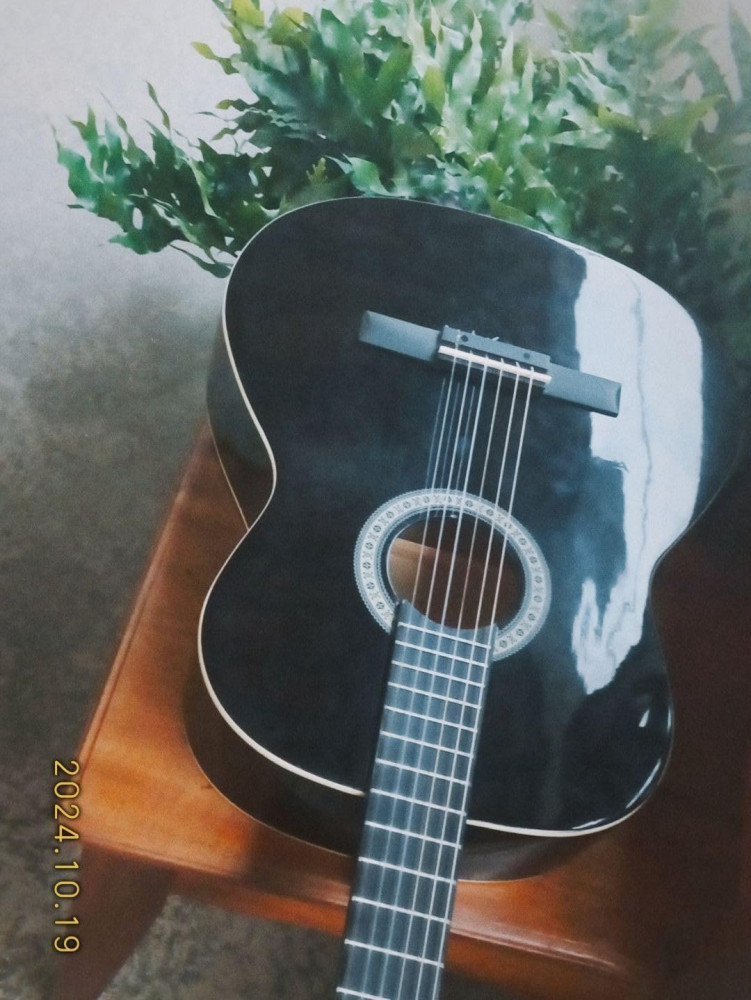 Giannini N-14Bk Violão Acústico Preto