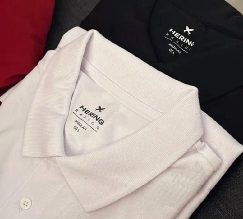 Kit Com 2 Camisas Polo Básicas Hering
