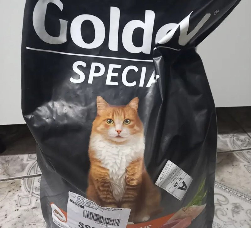 Ração Golden Special Gatos Adultos Frango E Carne 10,1 Kg