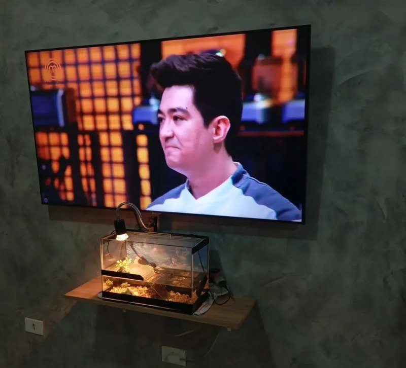 Samsung Smart TV 50 Crystal UHD 4K + Soundbar HW-B400F/ZD