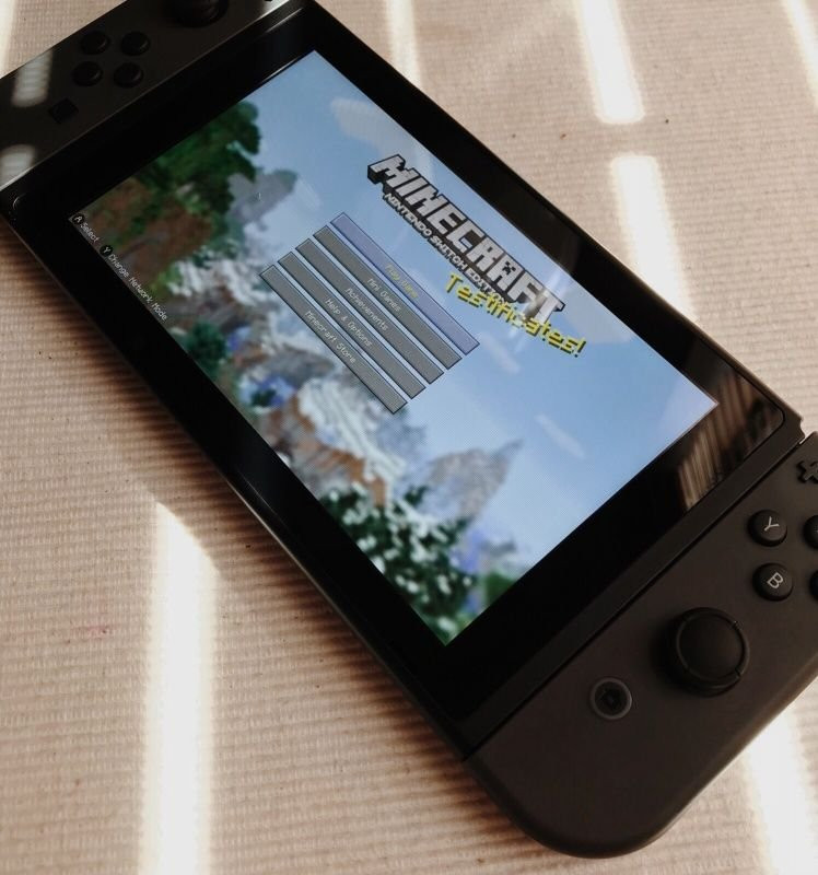 Minecraft – Nintendo Switch 2